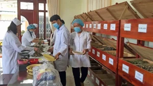 2 12 Cap Phat Thuoc Mien Phi Cho Benh Nhan Tai Tue Tinh Duong Linh Quang Tp Da Lat 20250105145143 20250106203620