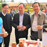 A1 20241219232858 20241230002942