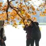 Dsc07361 20250105065954