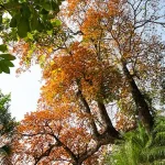 Dsc07412 20250106063127