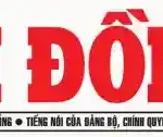 Logo 3