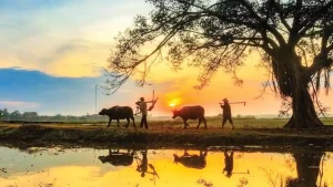 Hương vị tháng Mười