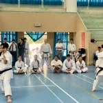 Y 1 20241230144354